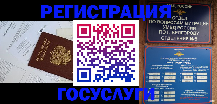 временная прописка в Обояни